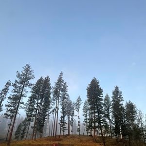 Meet your Posher, Ella